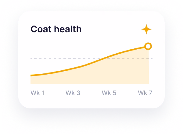 pet assessment coat health