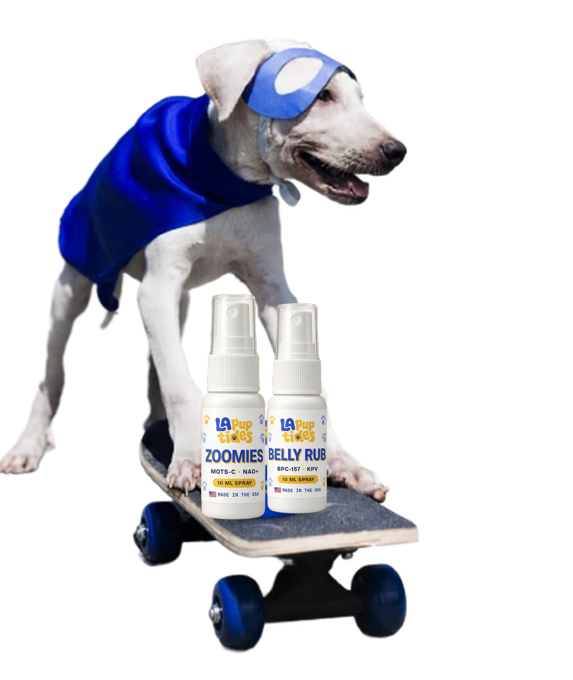 cta dog skateboard sprays